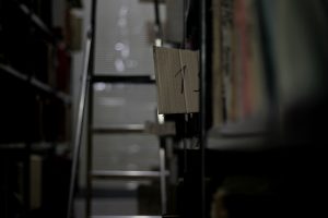 IMG_2151_